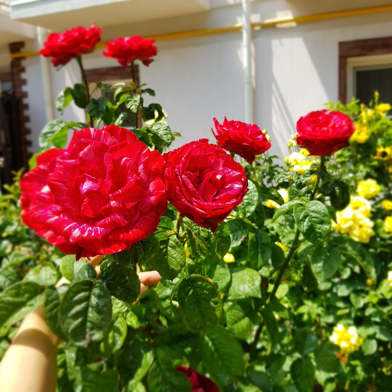 Гостевой дом Ольга Анапа-20