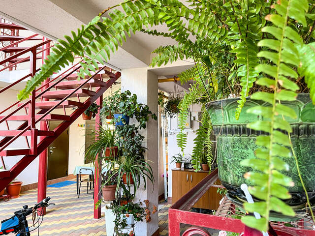 Гостевой дом Ольга Анапа-42