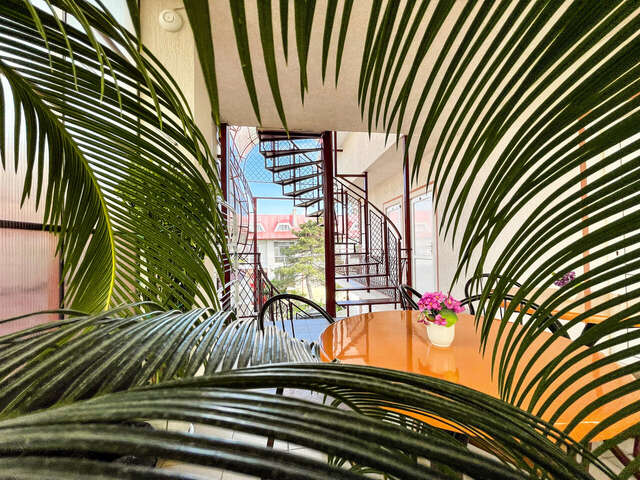 Гостевой дом Ольга Анапа-12