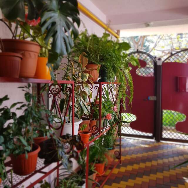 Гостевой дом Ольга Анапа-40